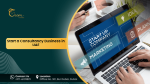 How to Start Business consultancy in dubai